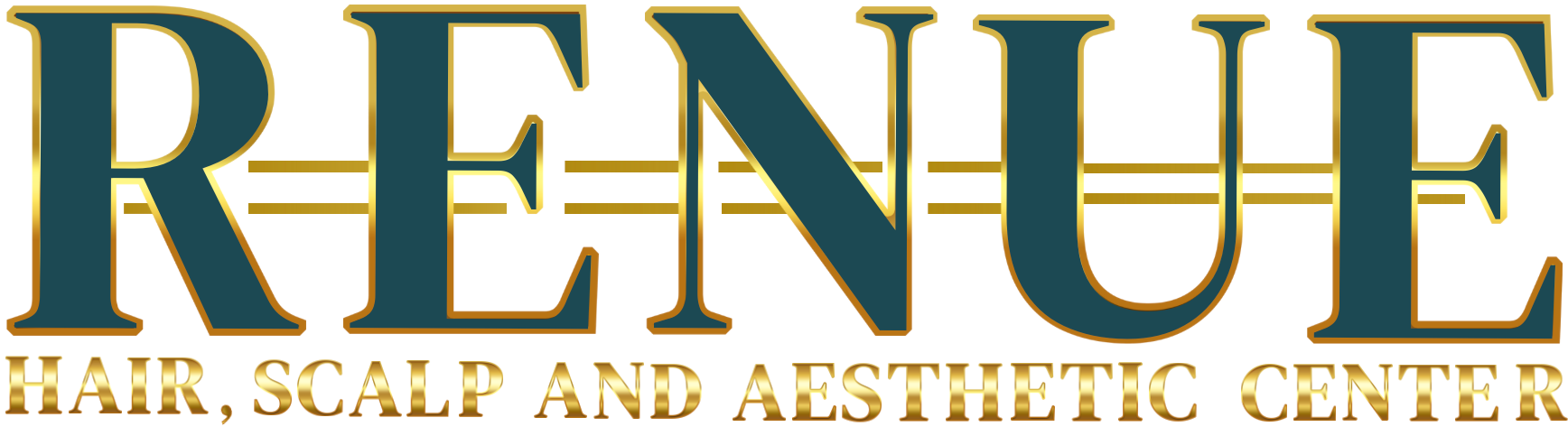 renue logo renue logo
